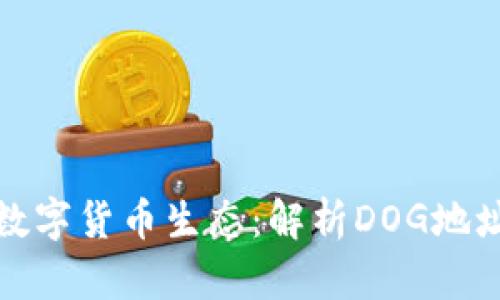 TP钱包与数字货币生态：解析DOG地址的重要性