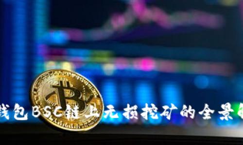 TP钱包BSC链上无损挖矿的全景解析