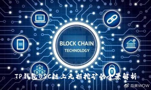 TP钱包BSC链上无损挖矿的全景解析