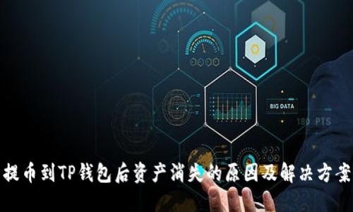 提币到TP钱包后资产消失的原因及解决方案