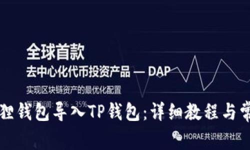 如何将小狐狸钱包导入TP钱包：详细教程与常见问题解析