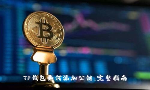 TP钱包如何添加公链：完整指南