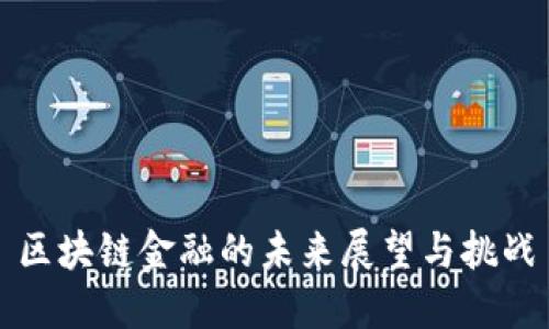 区块链金融的未来展望与挑战