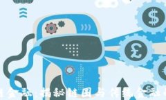 区块链金融：揭秘链圈与