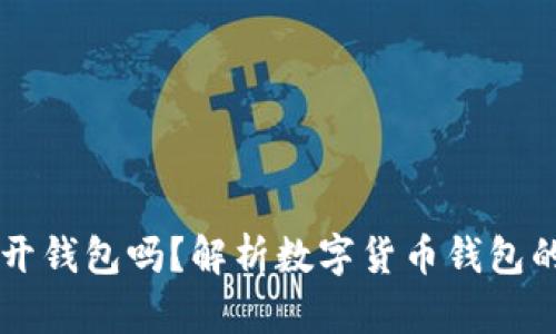 只有助记词可以打开钱包吗？解析数字货币钱包的安全性与使用方式