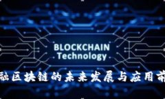 金融区块链的未来发展与