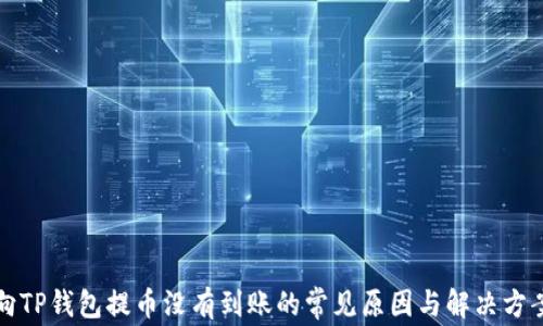 
向TP钱包提币没有到账的常见原因与解决方案