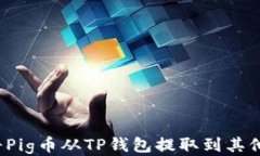 如何将Pig币从TP钱包提取到