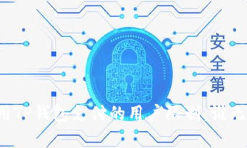 解析使用TP钱包支付的用户限制：谁无法使用？
