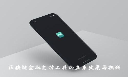 区块链金融支付工具的未来发展与挑战