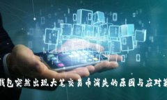 TP钱包突然出现大笔交易币