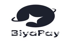 区块链金融的优缺点分析