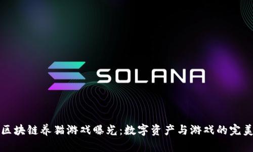 网易区块链养猫游戏曝光：数字资产与游戏的完美结合