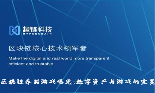 网易区块链养猫游戏曝光：数字资产与游戏的完美结合
