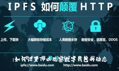 :如何设置TP以观察数字钱包的动态