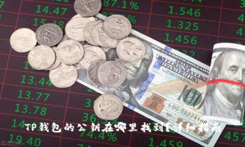 TP钱包的公钥在哪里找到？详细指南