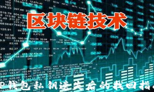 
TP钱包私钥遗失后的找回指南