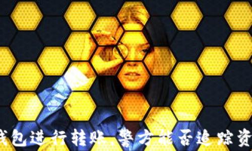 
使用TP钱包进行转账，警方能否追踪资金流动？