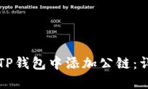 如何在TP钱包中添加公链：详细指南