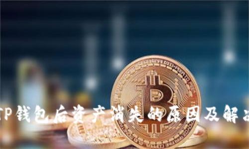 导入TP钱包后资产消失的原因及解决方案