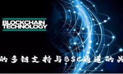 TP钱包的多链支持与BSC通道