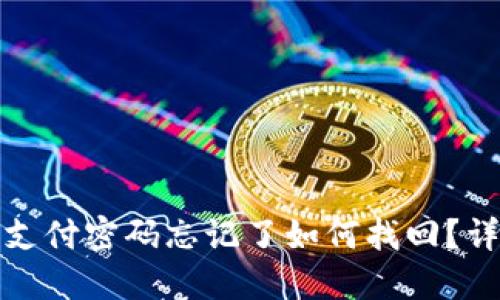 TP钱包支付密码忘记了如何找回？详细攻略