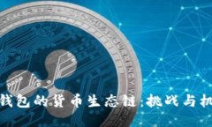 TP钱包的货币生态链：挑战