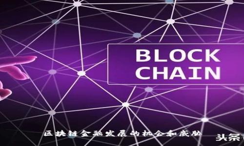 区块链金融发展的机会和威胁