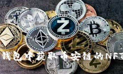 如何在TP钱包中获取币安链的NFT接收地址