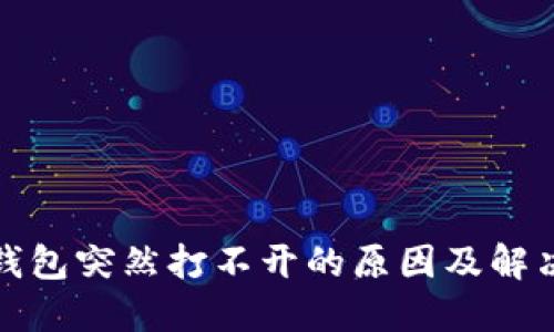 : TP钱包突然打不开的原因及解决方案