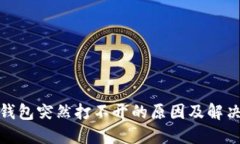 : TP钱包突然打不开的原因