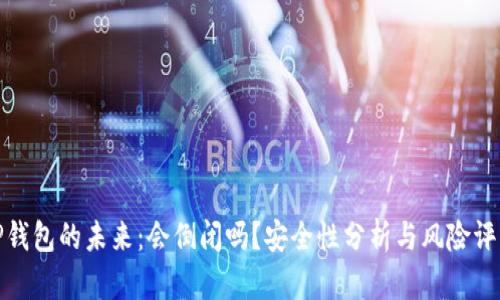 TP钱包的未来：会倒闭吗？安全性分析与风险评估
