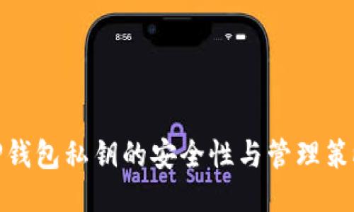 TP钱包私钥的安全性与管理策略