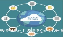 深度解析TP钱包中的BNB-1与