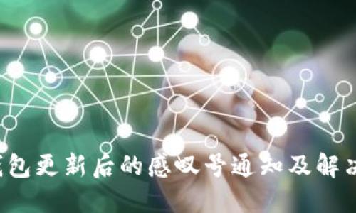  TP钱包更新后的感叹号通知及解决方案