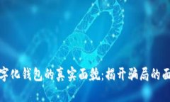数字化钱包的真实面貌：