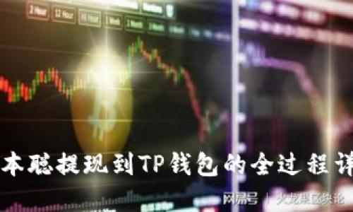 中本聪提现到TP钱包的全过程详解