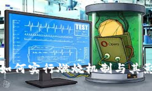 TP钱包如何实行燃烧机制与其影响分析
