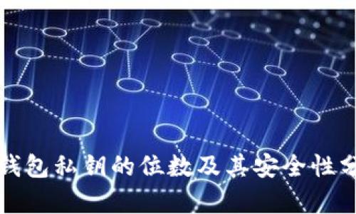 TP钱包私钥的位数及其安全性分析