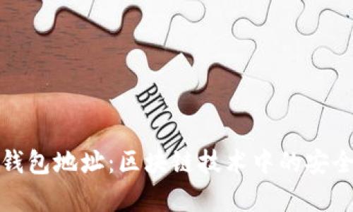 TP观察钱包地址：区块链技术中的安全与隐私