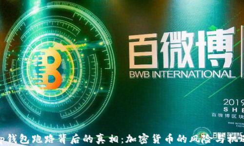 
tp钱包跑路背后的真相：加密货币的风险与机遇