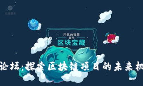 天府金融论坛：探索区块链项目的未来机遇与挑战