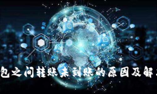 TP 钱包之间转账未到账的原因及解决方案