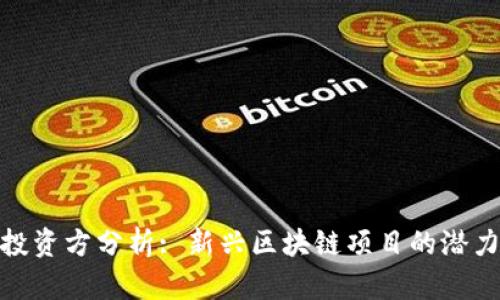 TP钱包投资方分析: 新兴区块链项目的潜力与风险
