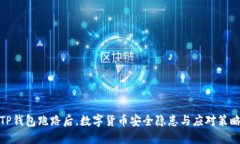 TP钱包跑路后，数字货币安全隐患与应对策略