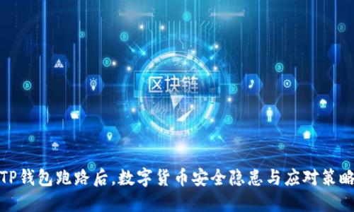 TP钱包跑路后，数字货币安全隐患与应对策略