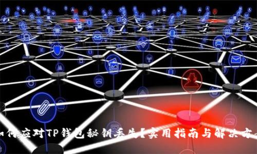 如何应对TP钱包秘钥丢失？实用指南与解决方案