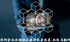 深圳金融办推动区块链技术发展：机遇与挑战
