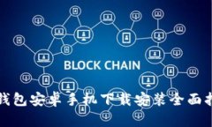 TP钱包安卓手机下载安装全面指南