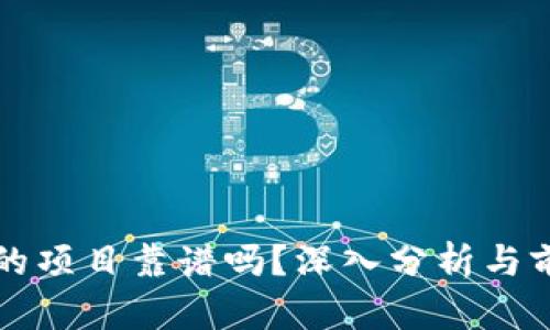 TP钱包的项目靠谱吗？深入分析与前景展望